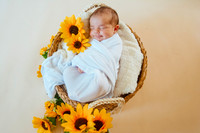 Breylynn Newborn